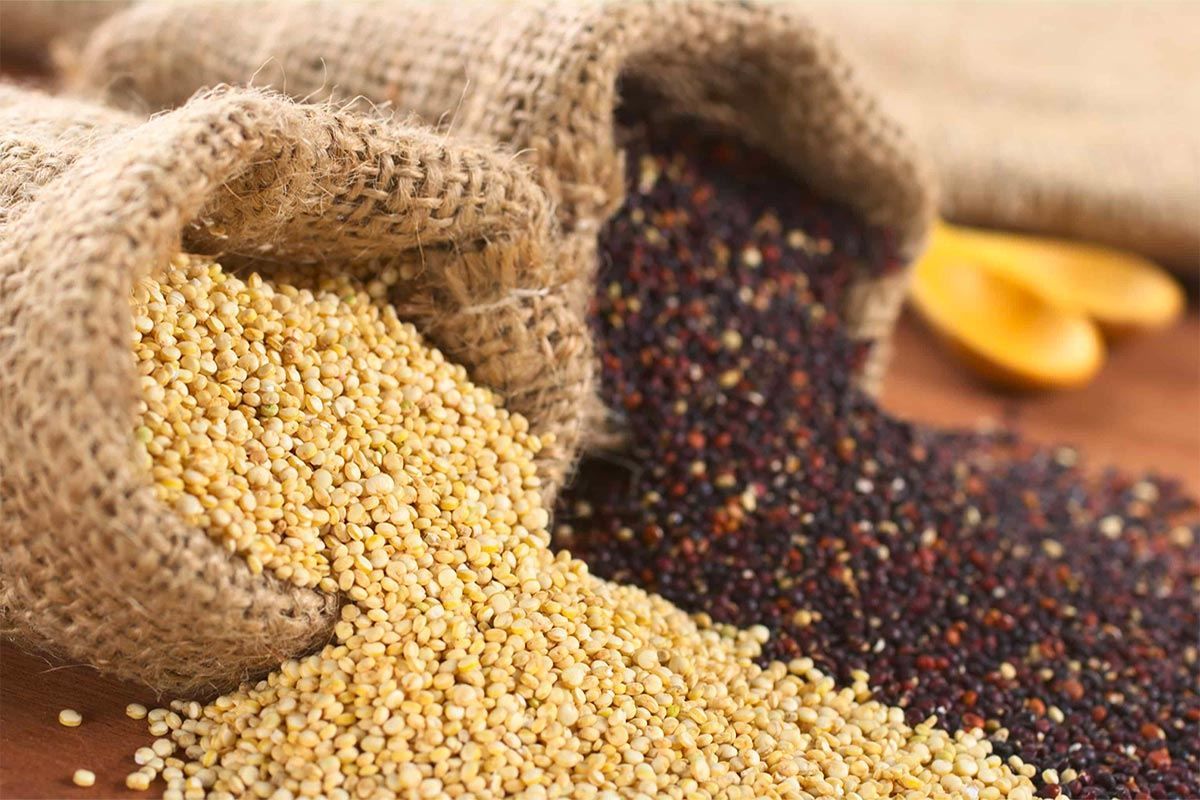 Що таке кіноа: калорійність, користь, як готувати Що таке кіноа: калорійність, користь, як готувати