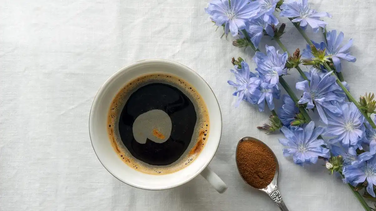 Здоровий альтернативний напій: цикорій замість кави