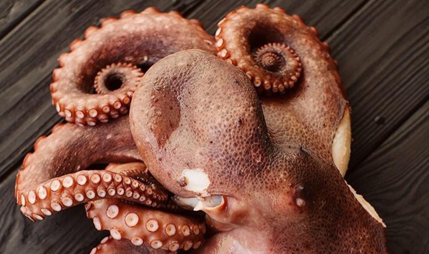 Владимир Ярославский готовит свежего осьминога Владимир Ярославский готовит свежего осьминога