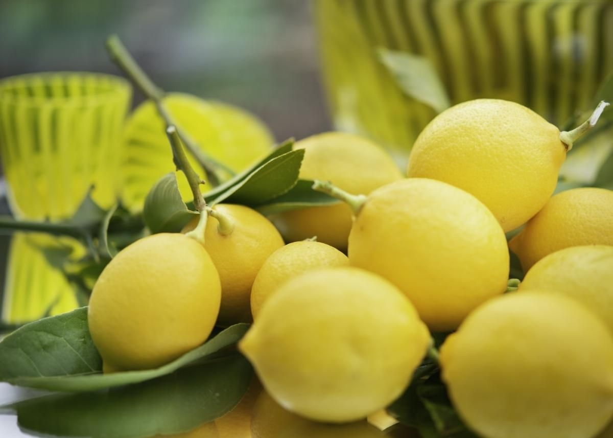 Лимони і їх користь: поради від Марко Черветті