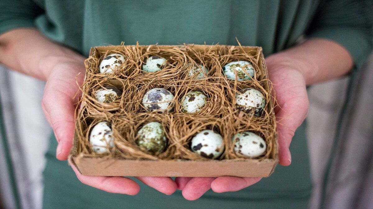 Перепелиные яйца Перепелиные яйца