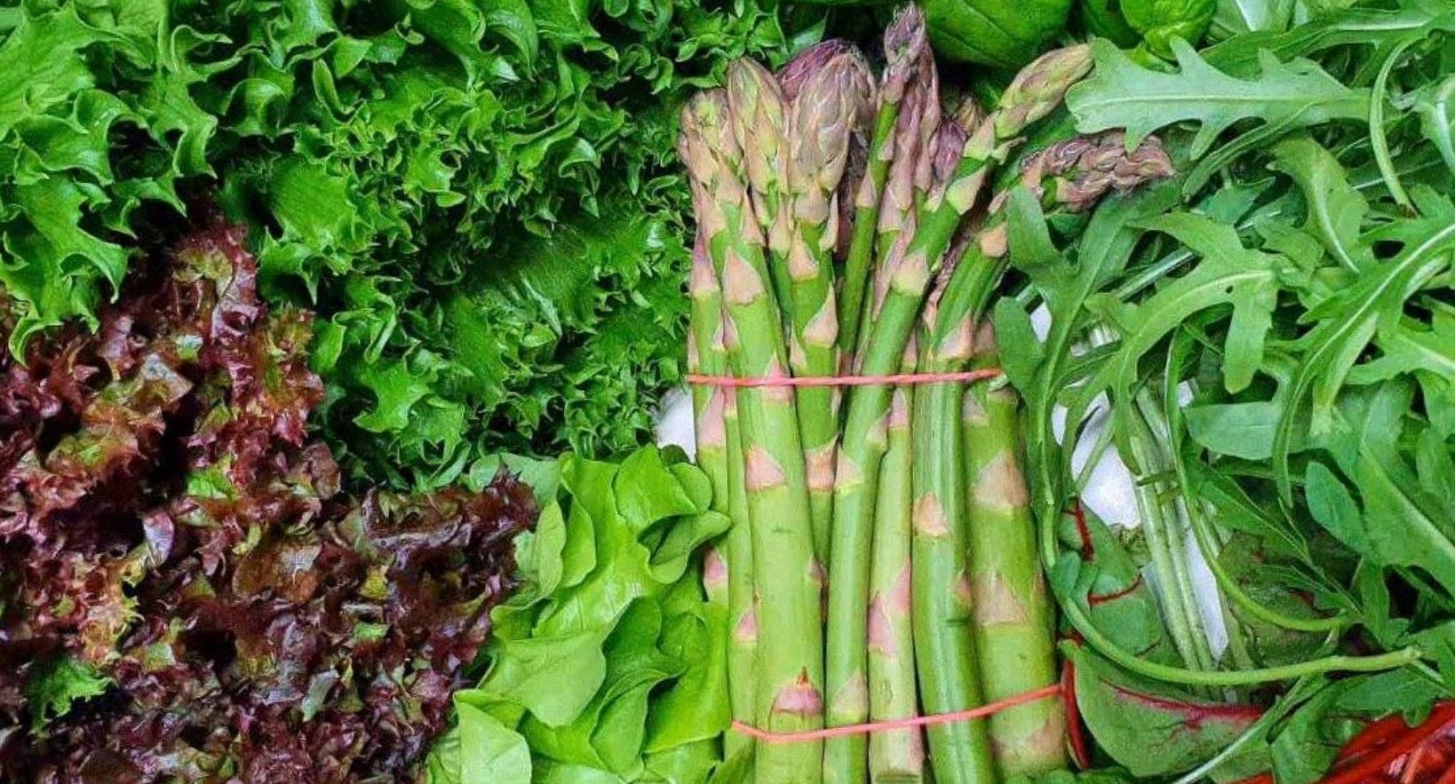 Сезонные продукты апреля 2021: список Сезонные продукты апреля 2021: список