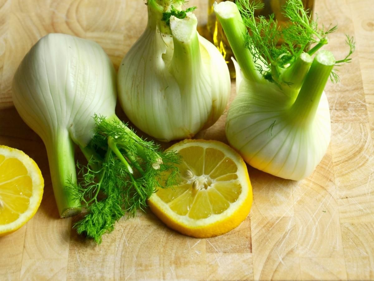 Фенхель: користь, шкода та застосування в кулінарії Фенхель: користь, шкода та застосування в кулінарії