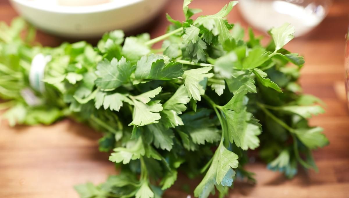 Полезные свойства петрушки и вред для организма Полезные свойства петрушки и вред для организма