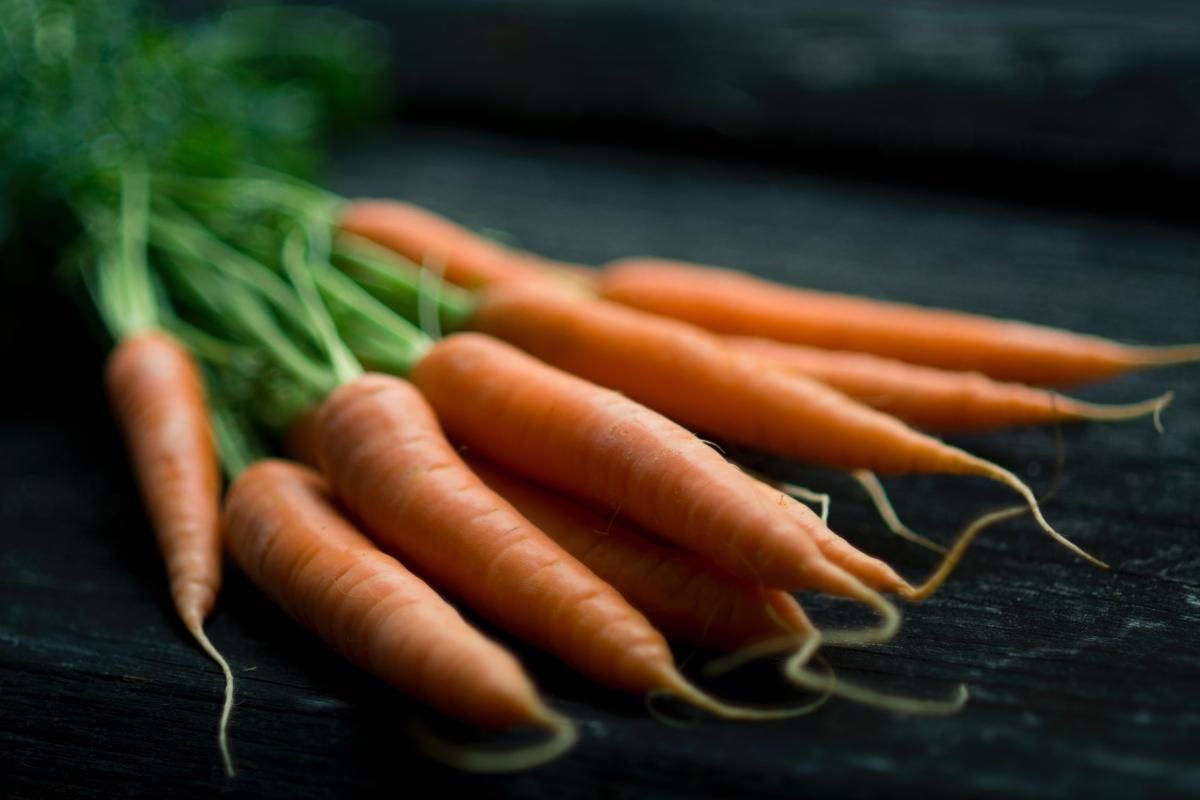 Корисні властивості моркви і протипоказання
