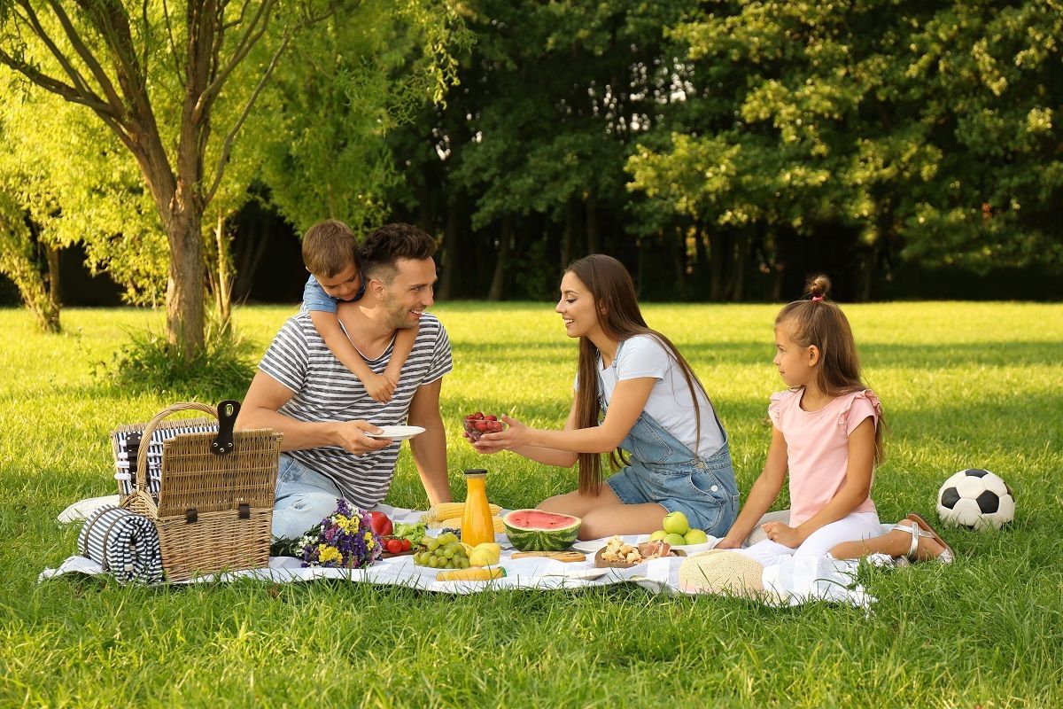 Что взять с собой на пикник: список необходимых вещей и продуктов