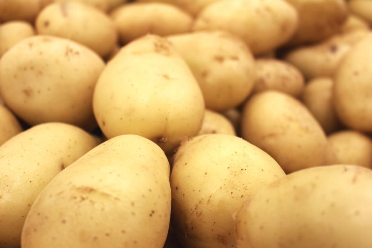 Чем полезна молодая картошка и как приготовить