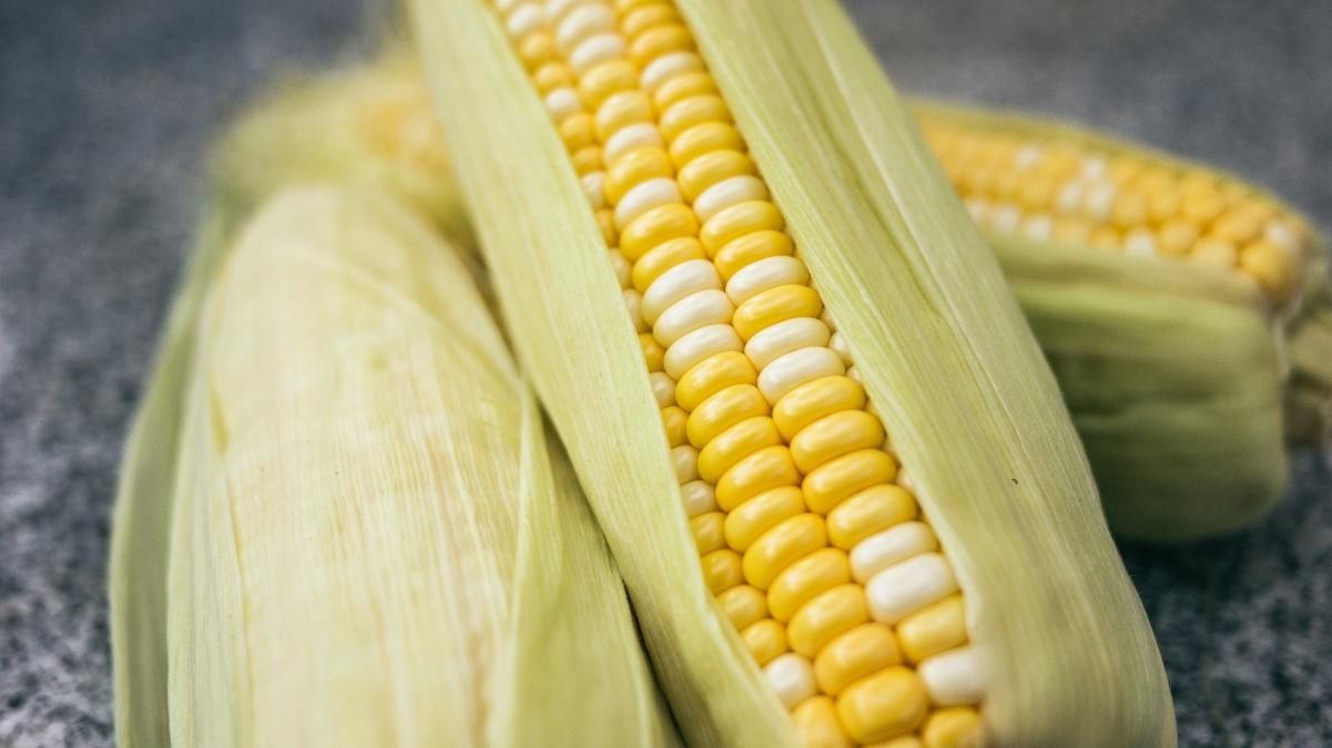 Як варити кукурудзу – корисні поради