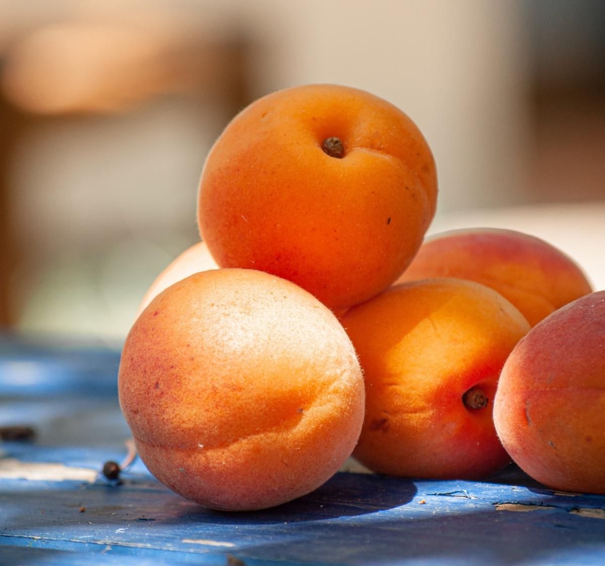 Сладкие абрикосы: полезные советы, как выбрать