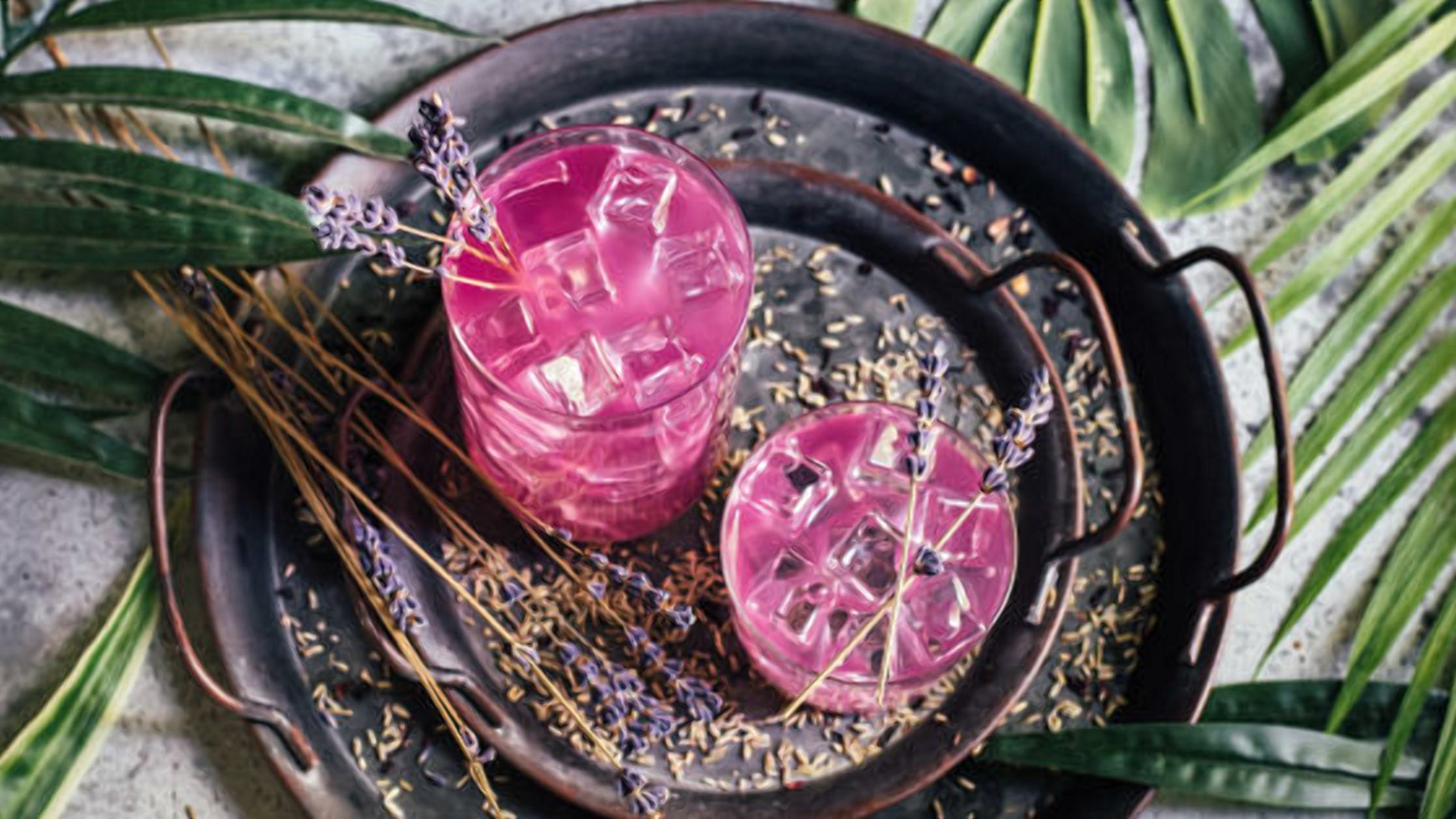 Лимонад из лаванды: как приготовить нетривиальный освежающий напиток  Лимонад из лаванды: как приготовить нетривиальный освежающий напиток