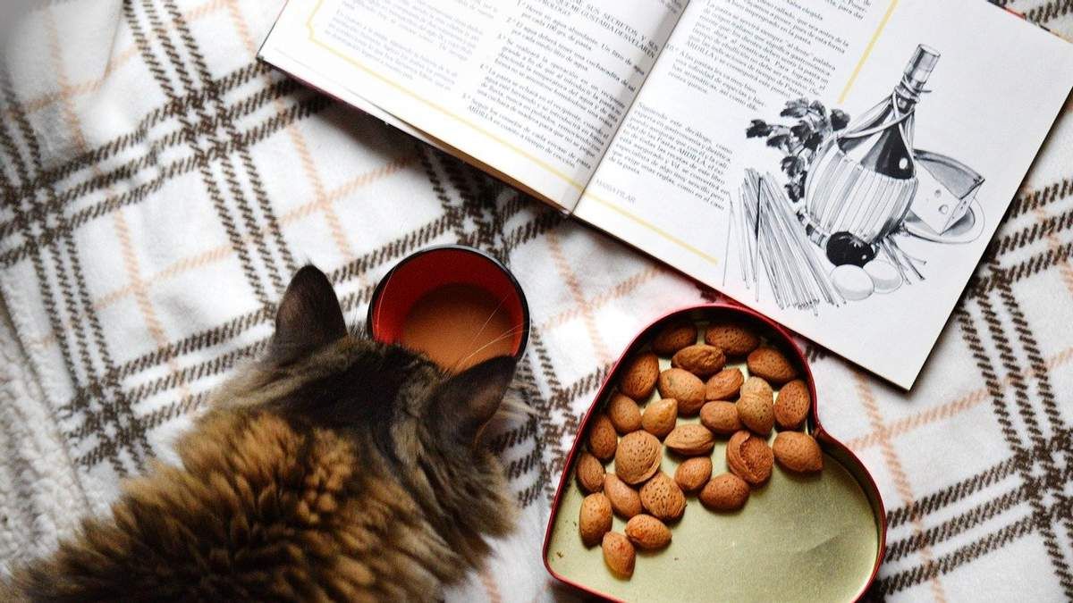 Три старинных украинских блюда из книги Ольги Франко Три старинных украинских блюда из книги Ольги Франко