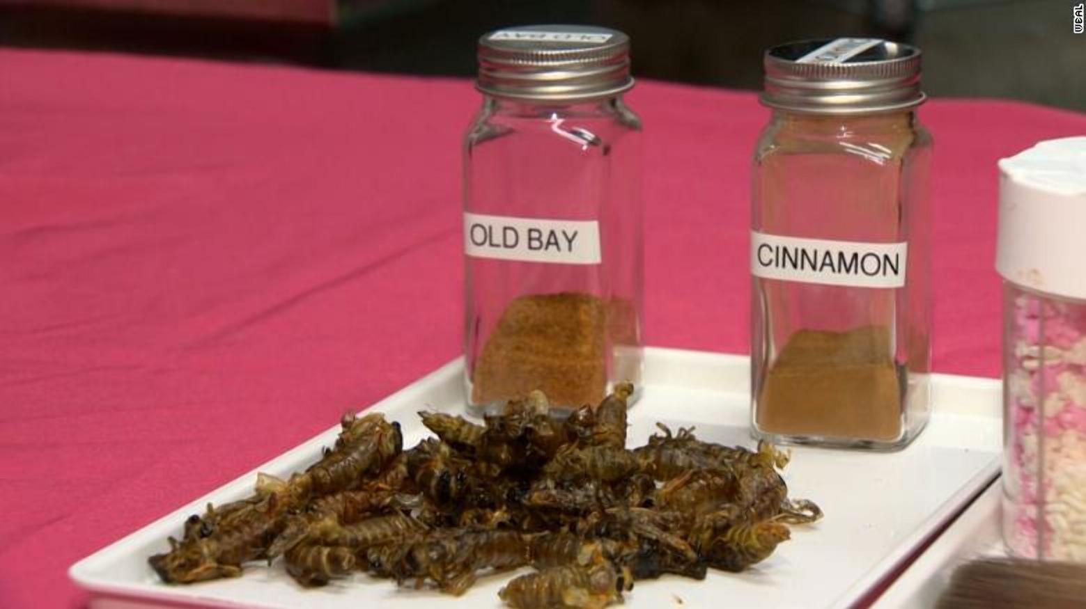 Цикади в шоколаді Цикади в шоколаді