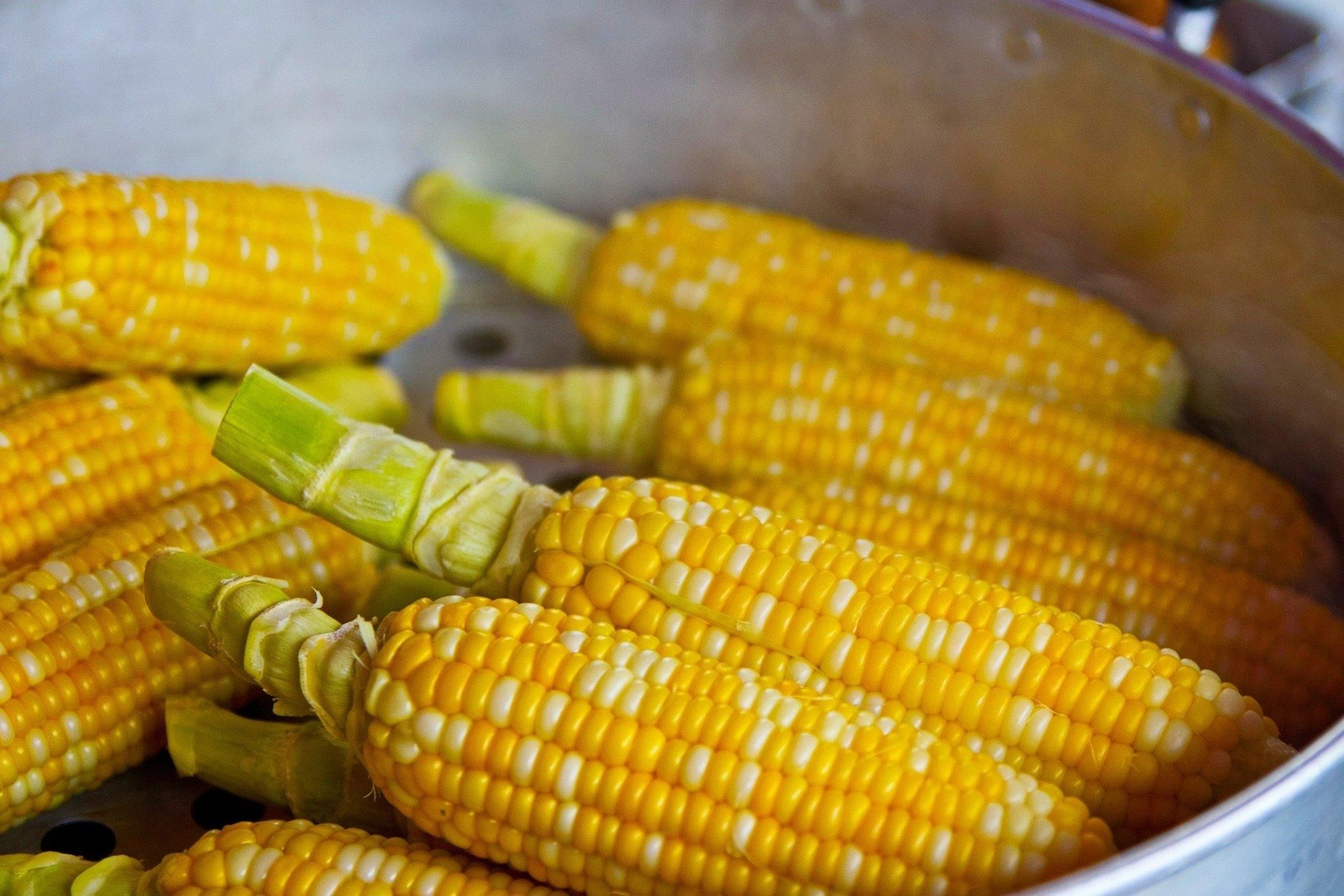 Молода кукурудза: рецепт приготування від кондитерки