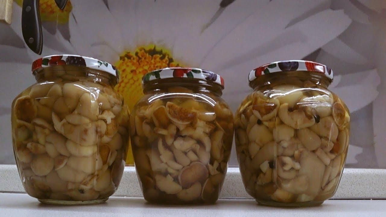 Як правильно закрити маслюки на зиму: домашній рецепт маринованих грибів - Новини Смачно