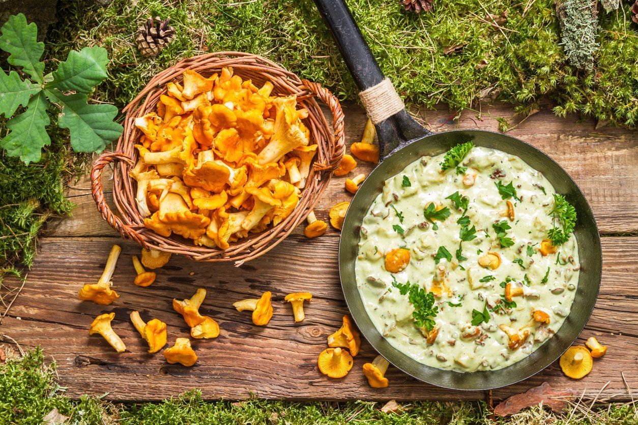 Нежнее не бывает: рецепт подливы из лисичек и сливок Нежнее не бывает: рецепт подливы из лисичек и сливок