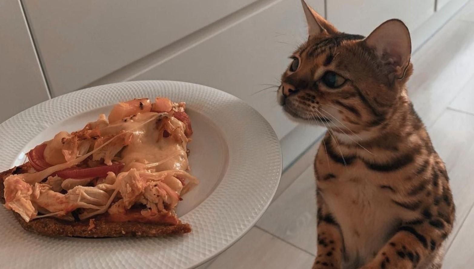 Рецепт пиццы для похудения Рецепт пиццы для похудения