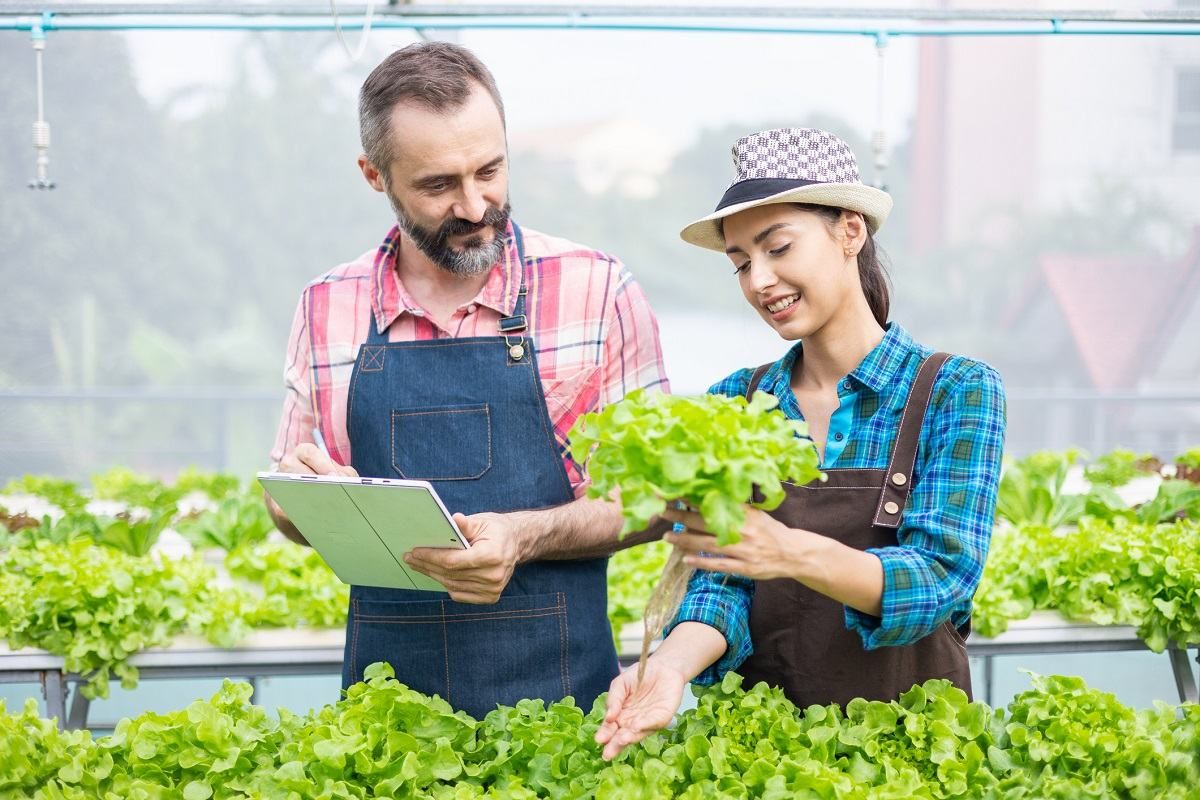 Онлайн-помощник для фермеров, или Все требования к продукции – в одном месте