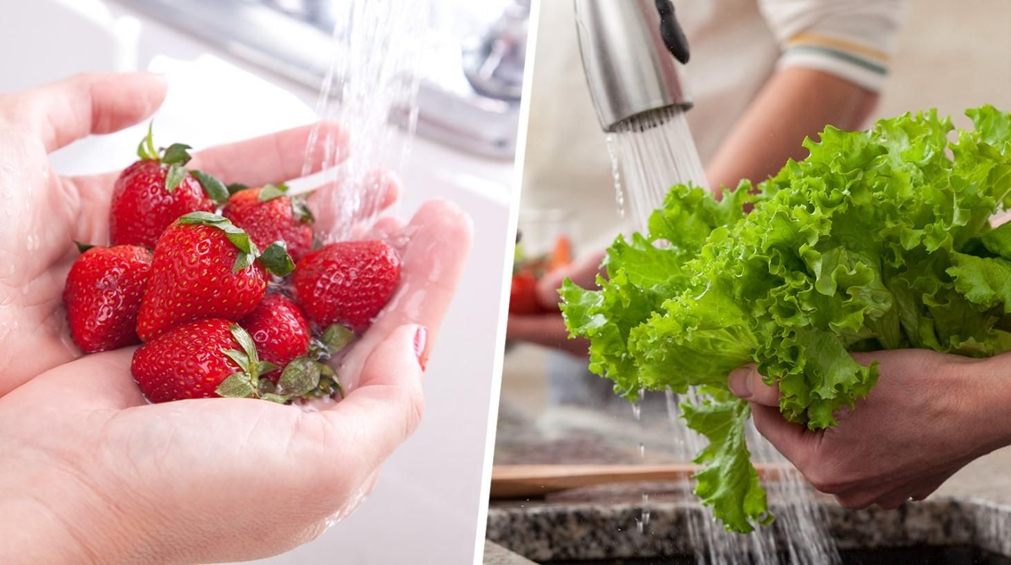 Моем овощи и фрукты правильно  несколько ценных советов для хозяек - Новости Вкусно Моем овощи и фрукты правильно  несколько ценных советов для хозяек - Новости Вкусно