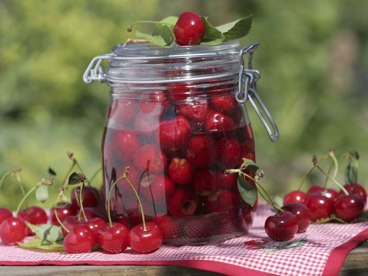 Зимняя консервация из вишен готовим компот для всей семьи - Новости Вкусно