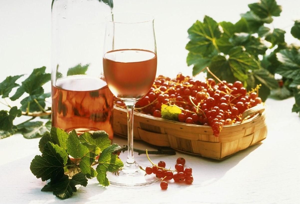 Как приготовить вино из смородины  простой рецепт домашнего напитка - Новости Вкусно