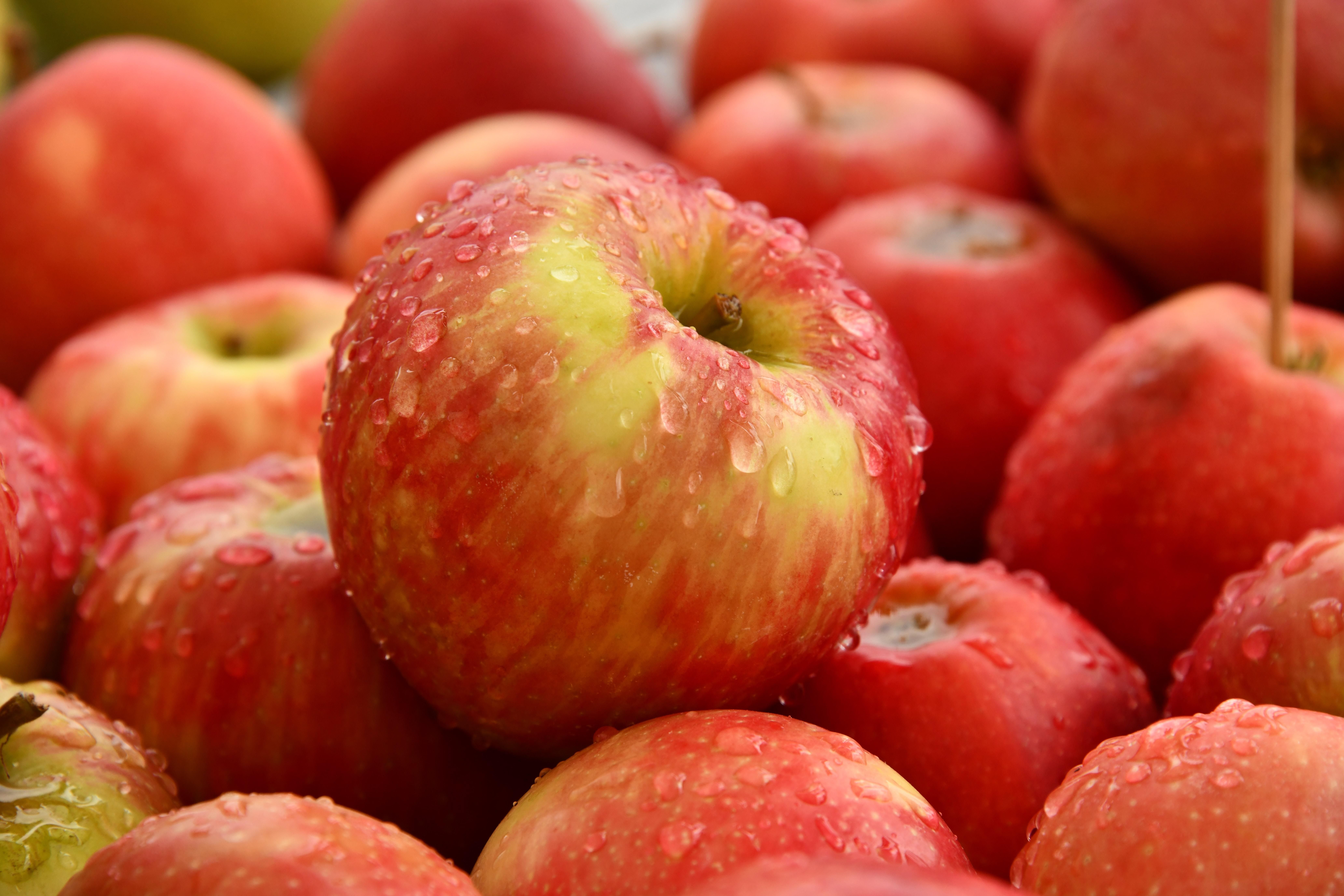 Як швидко висушити яблука на зиму: поради