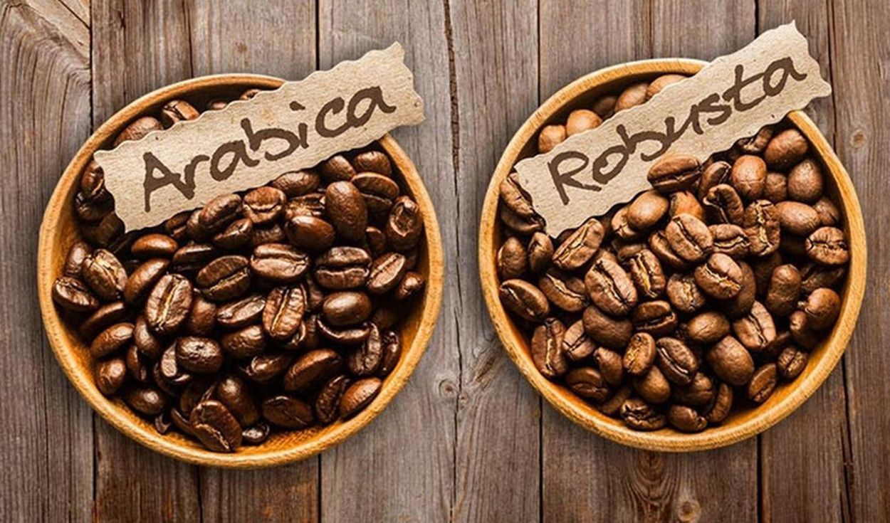 Какая разница между арабикой и робустой Какая разница между арабикой и робустой