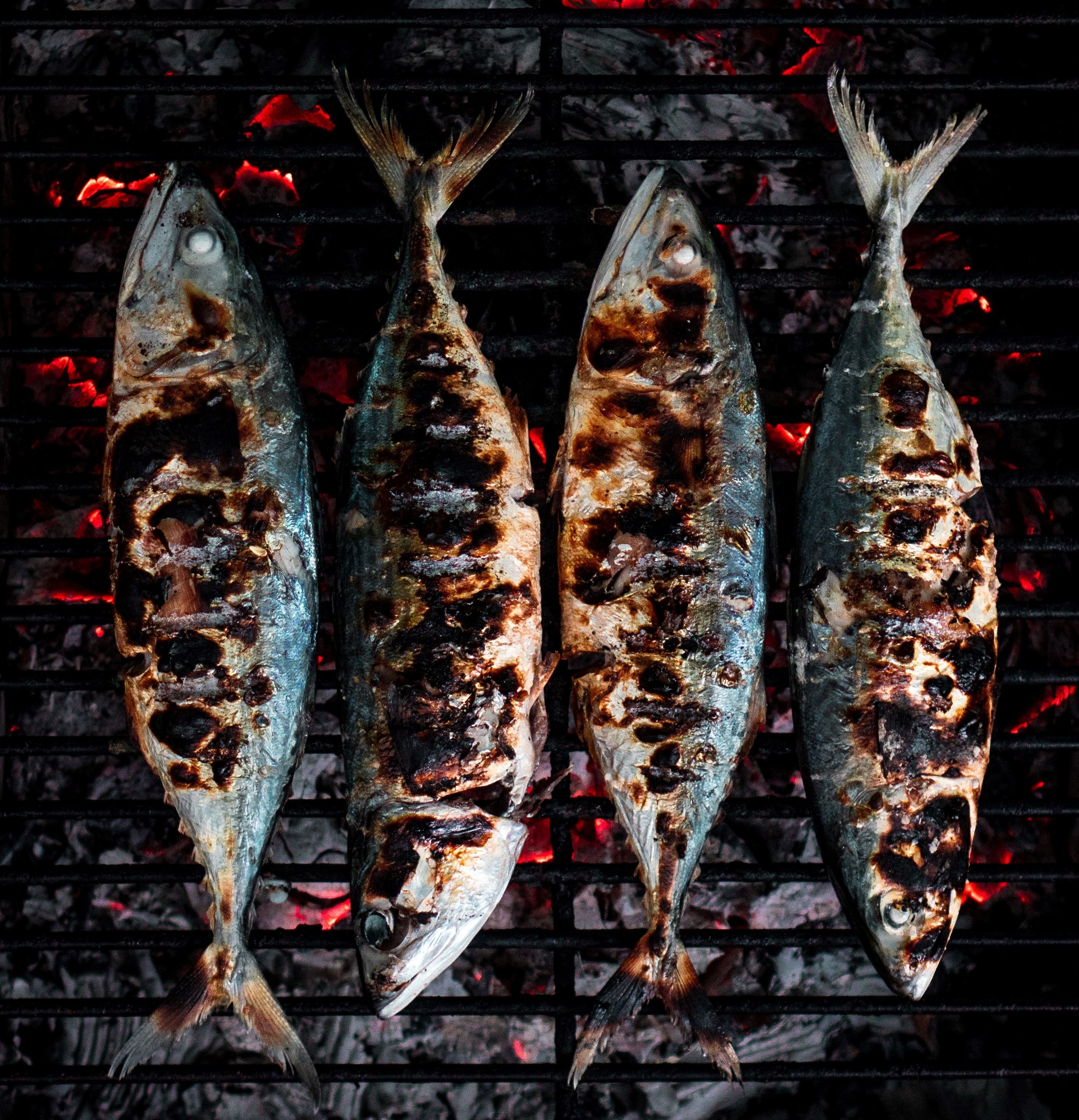 Заморожена риба: корисна інформація Заморожена риба: корисна інформація