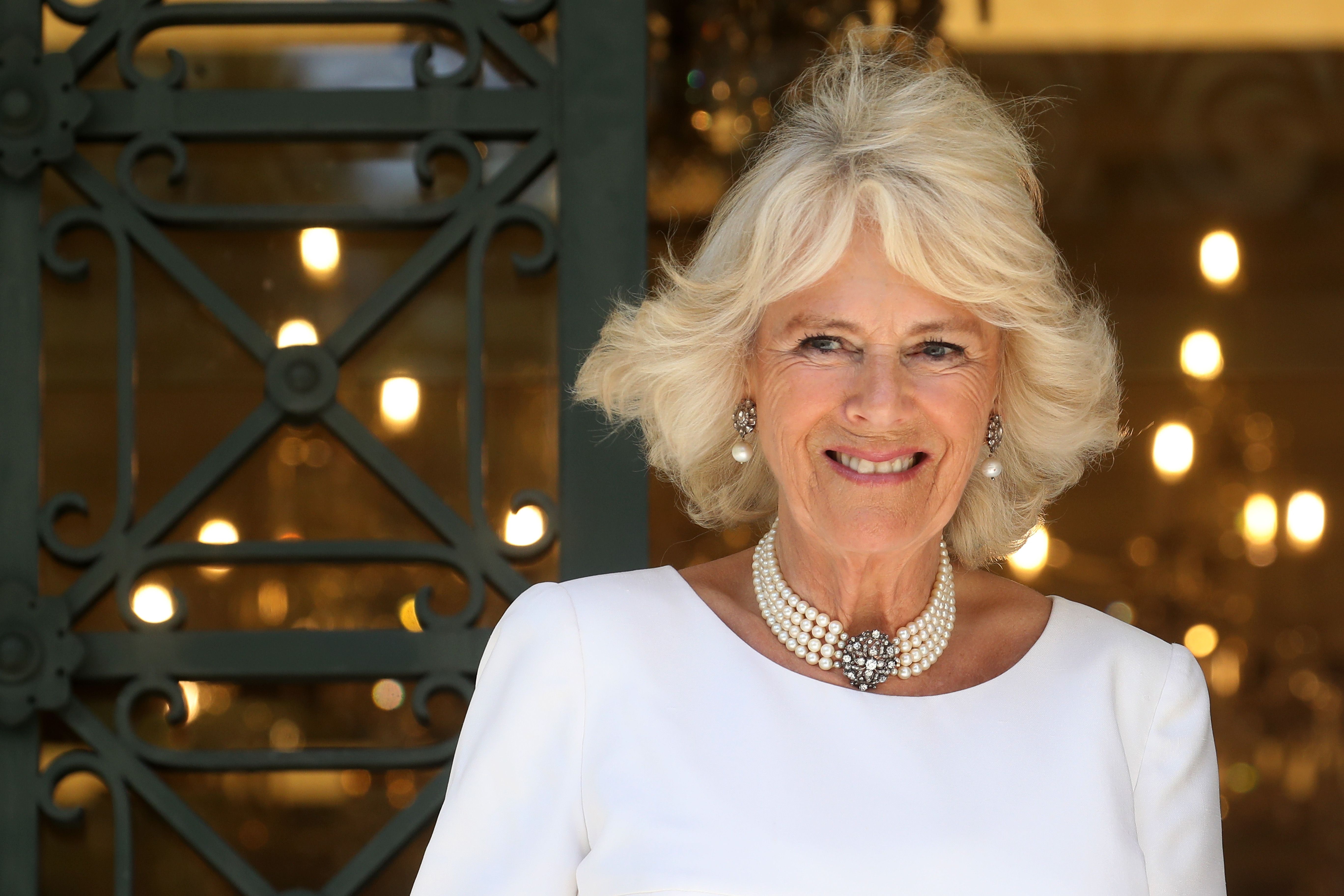 Какие ингредиенты под запретом на коронации Чарльза ІІІ: список Какие ингредиенты под запретом на коронации Чарльза ІІІ: список