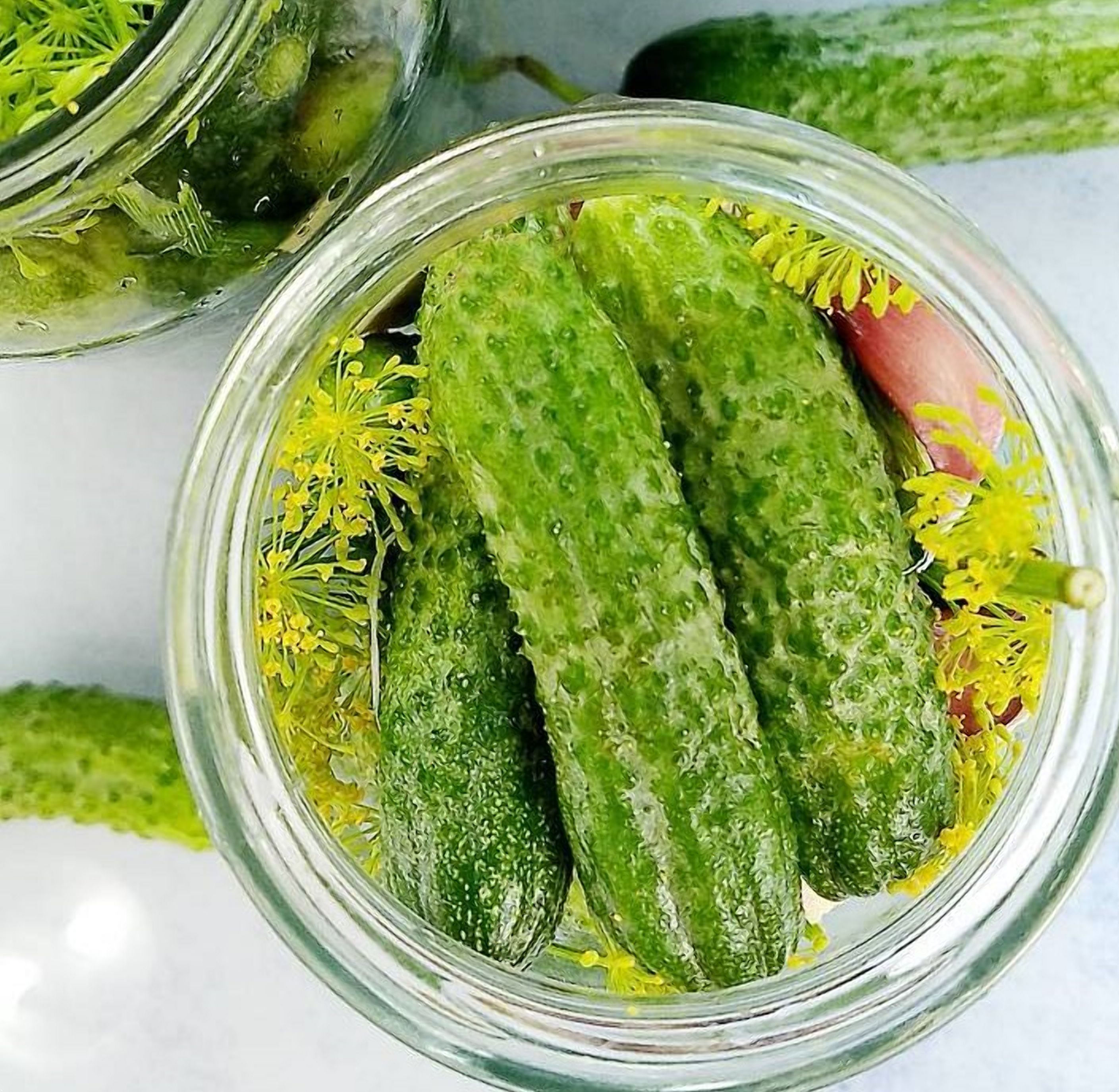 Маринованные огурцы: рецепт Маринованные огурцы: рецепт