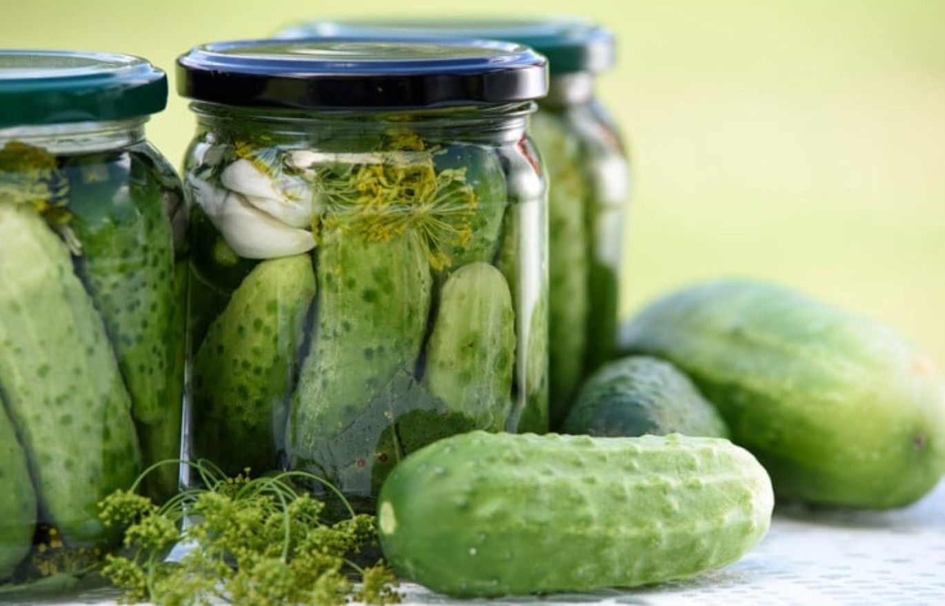 Консервированные огурцы Консервированные огурцы
