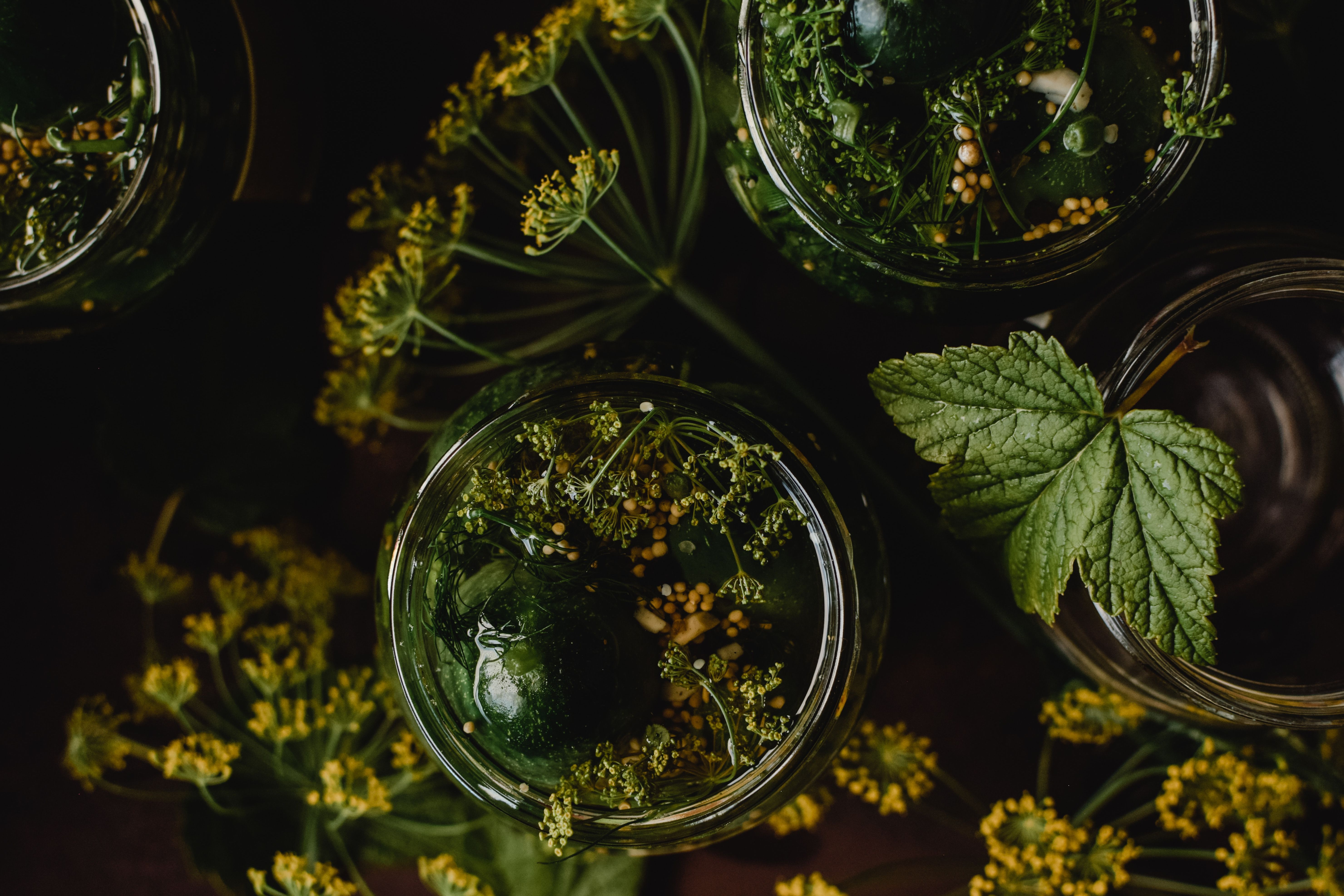 Маринад для огірків: пропорції Маринад для огірків: пропорції