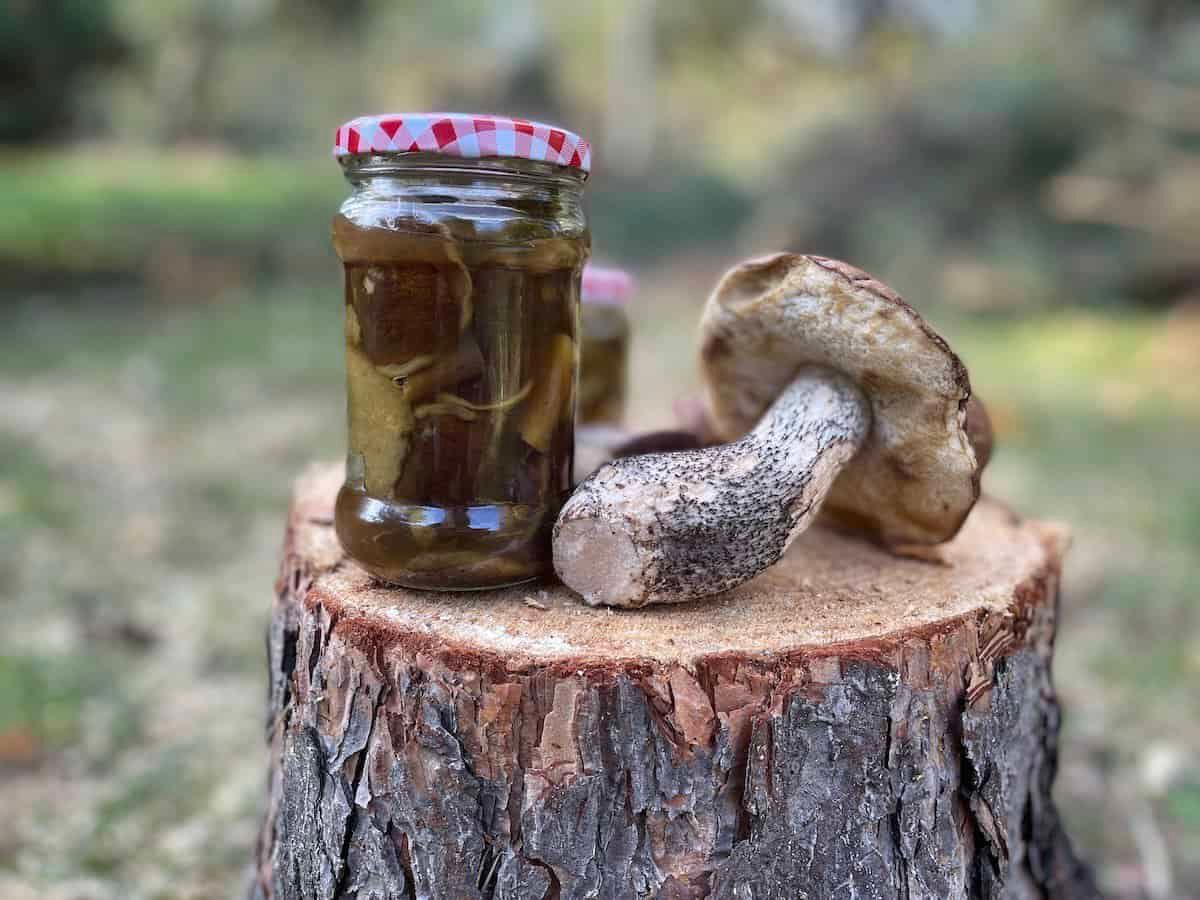 Белые маринованные грибы Белые маринованные грибы