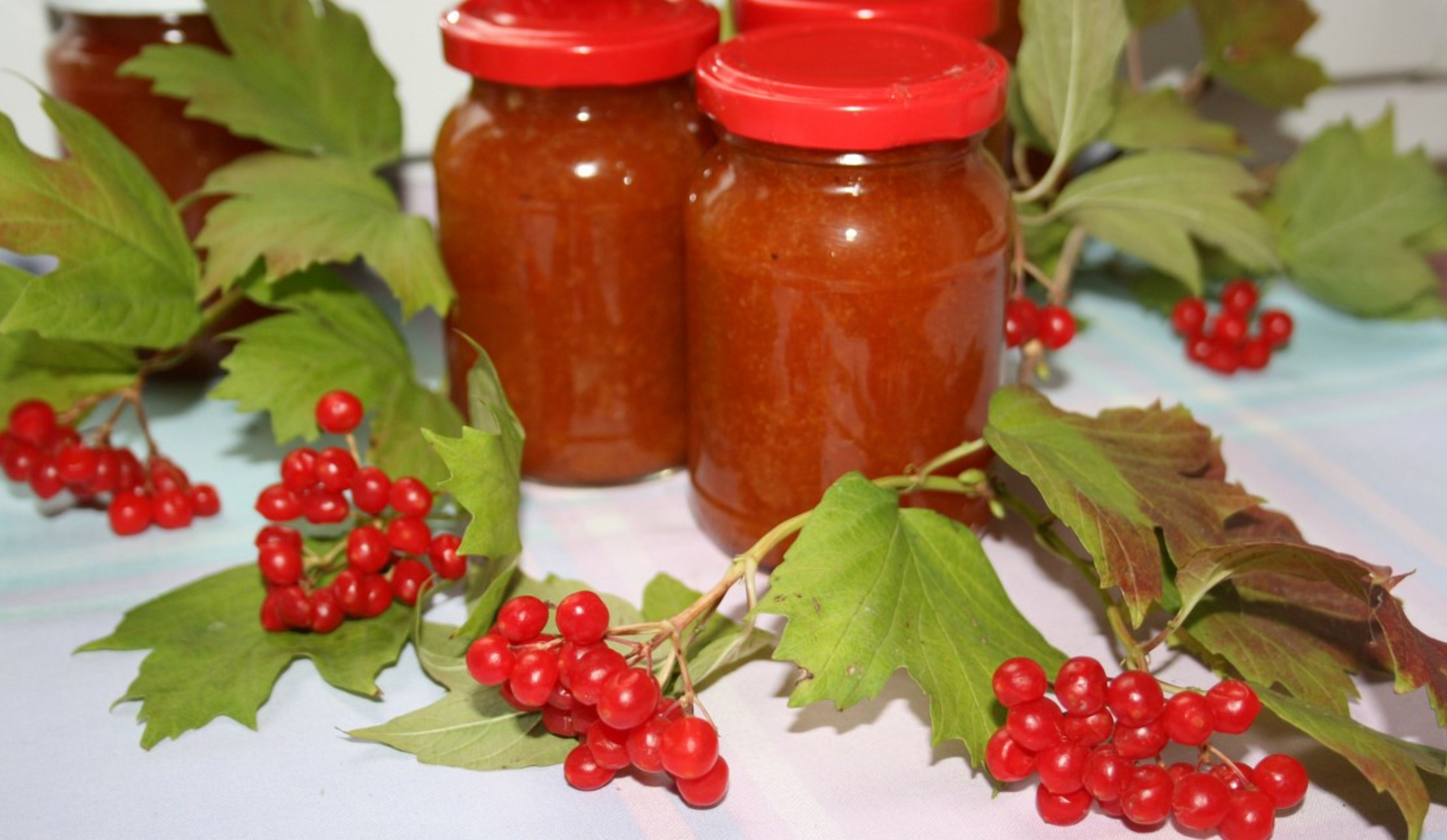 Калина на зиму: рецепт Калина на зиму: рецепт