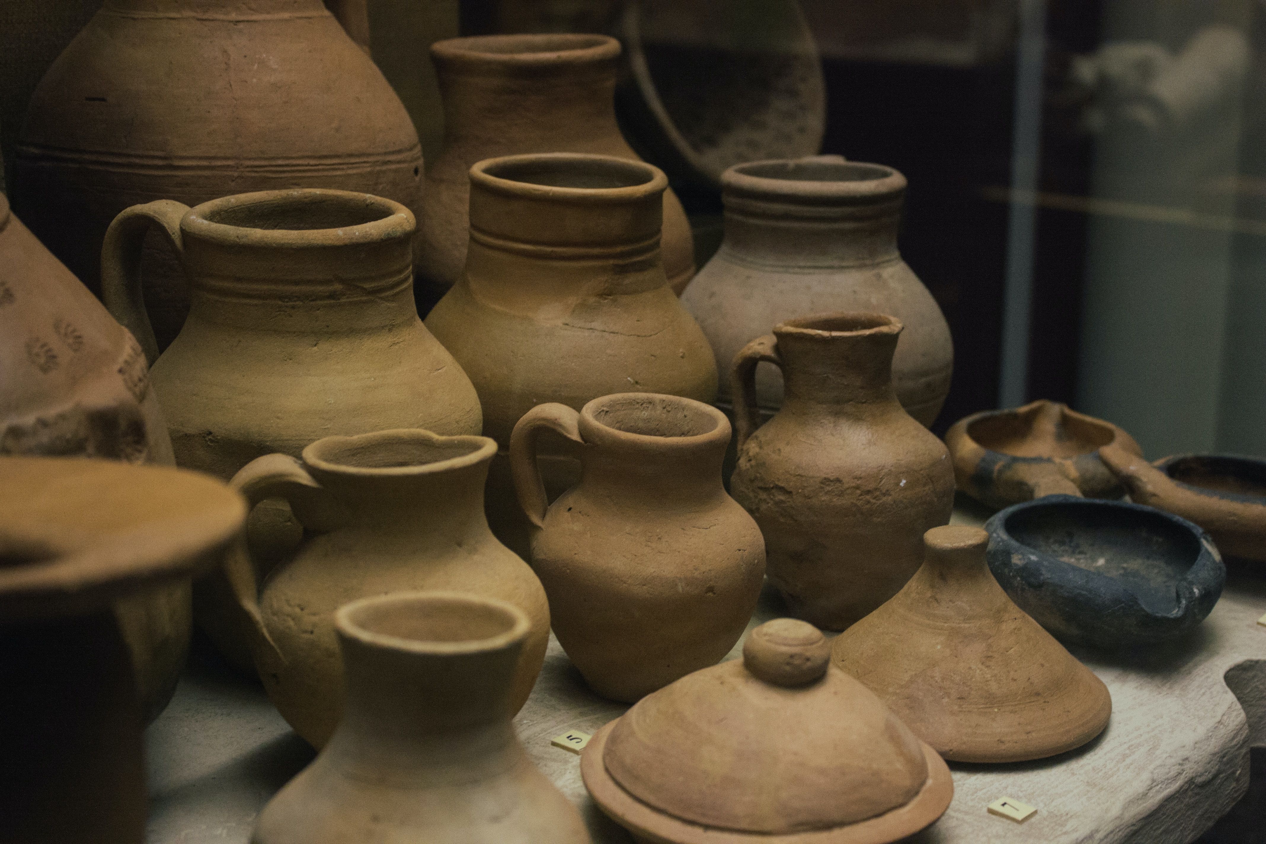 Что любили есть трипильцы: интересные данные Что любили есть трипильцы: интересные данные