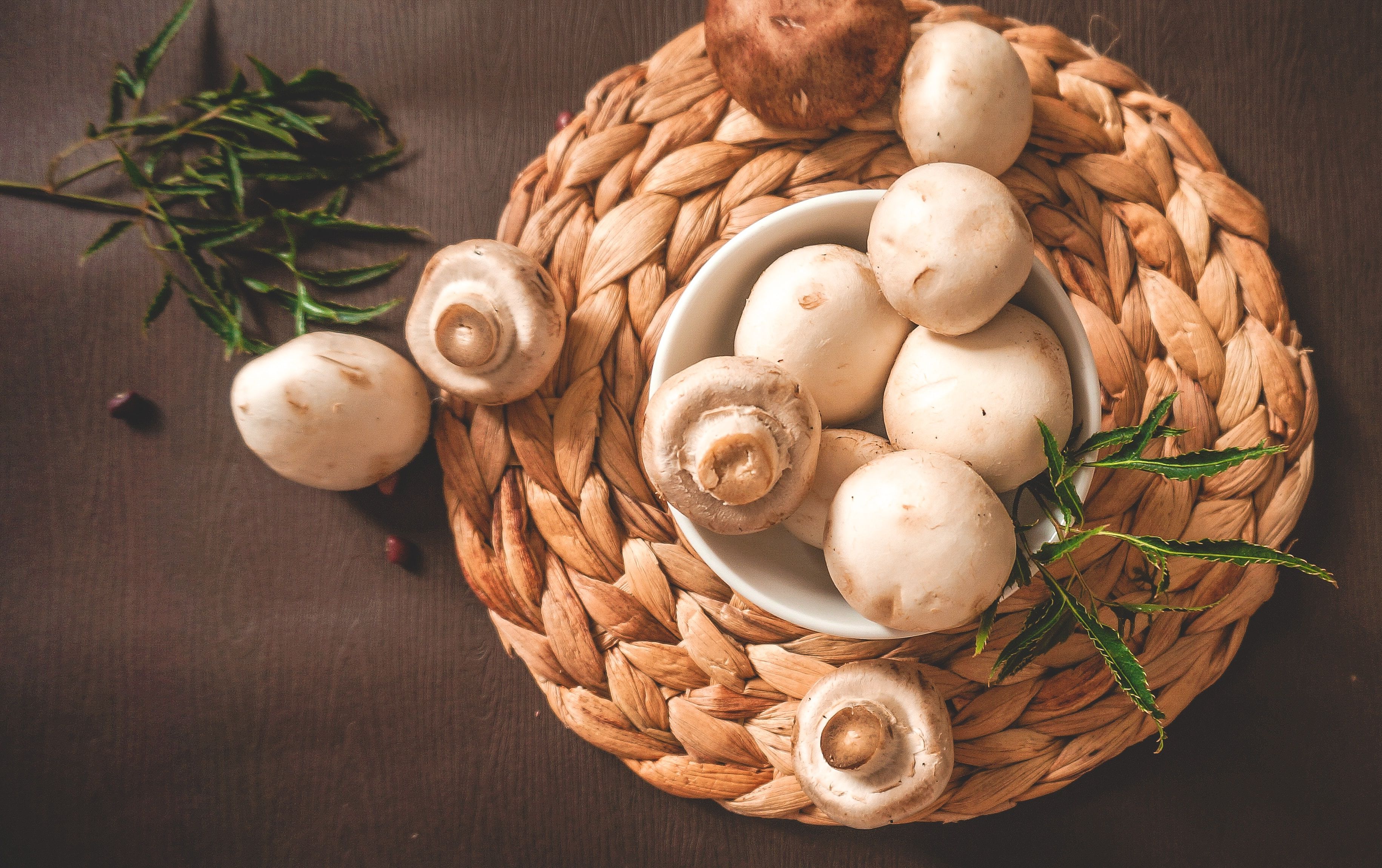 Как жарить шампиньоны - узнайте, как правильно готовить грибы - Новости Вкусно