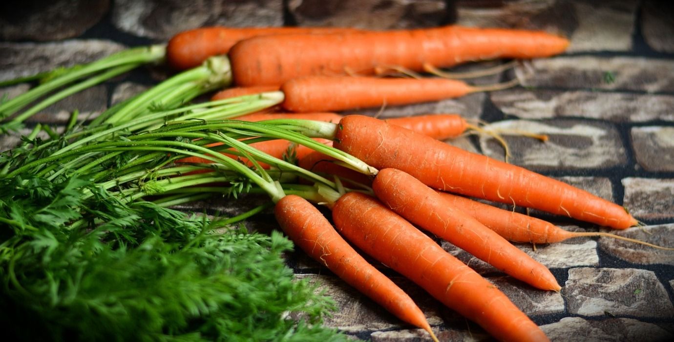 Как хранить морковь: советы