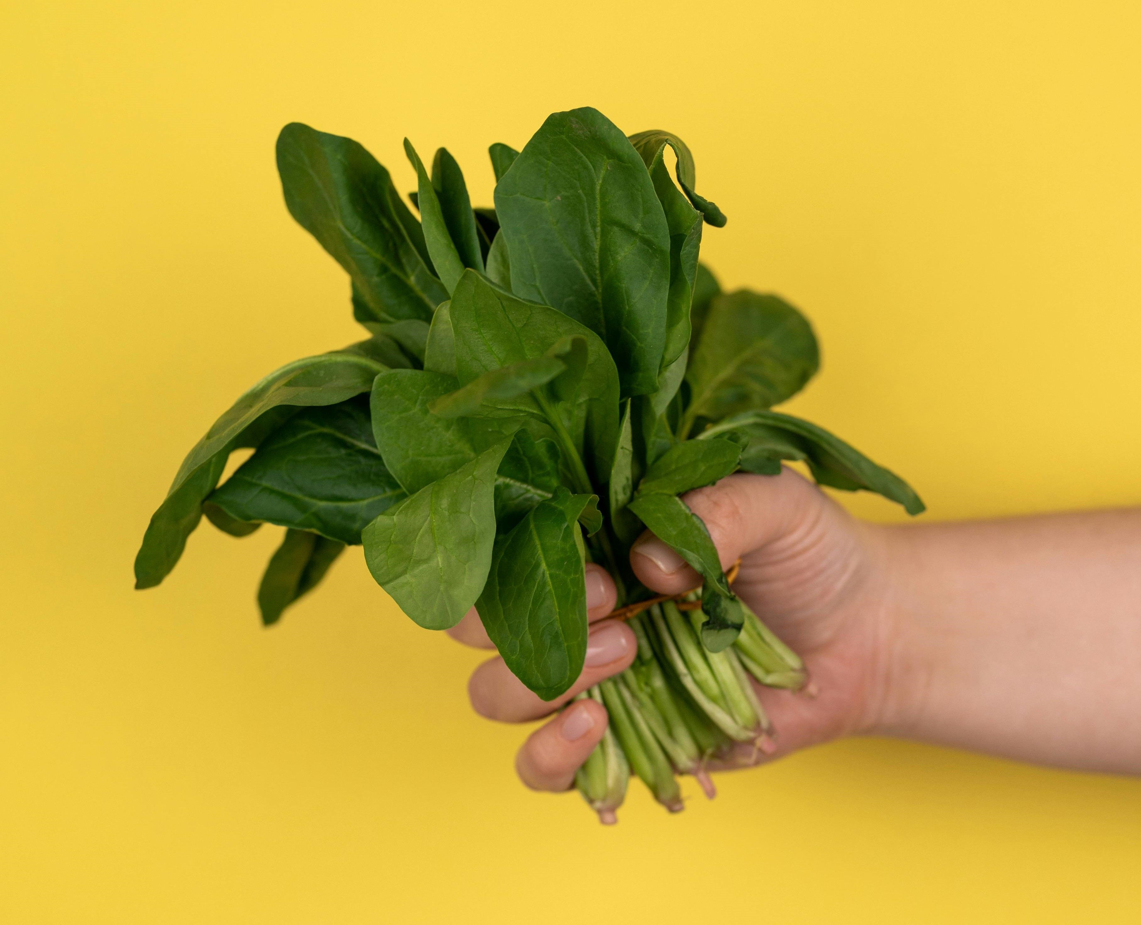 Щавель: советы Щавель: советы