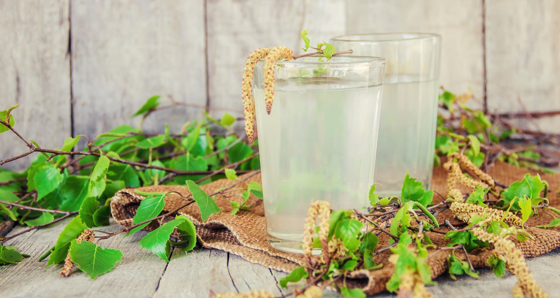 Чем полезен березовый сок - как правильно закрыть березовый сок - рецепт - Новости Вкусно Чем полезен березовый сок - как правильно закрыть березовый сок - рецепт - Новости Вкусно