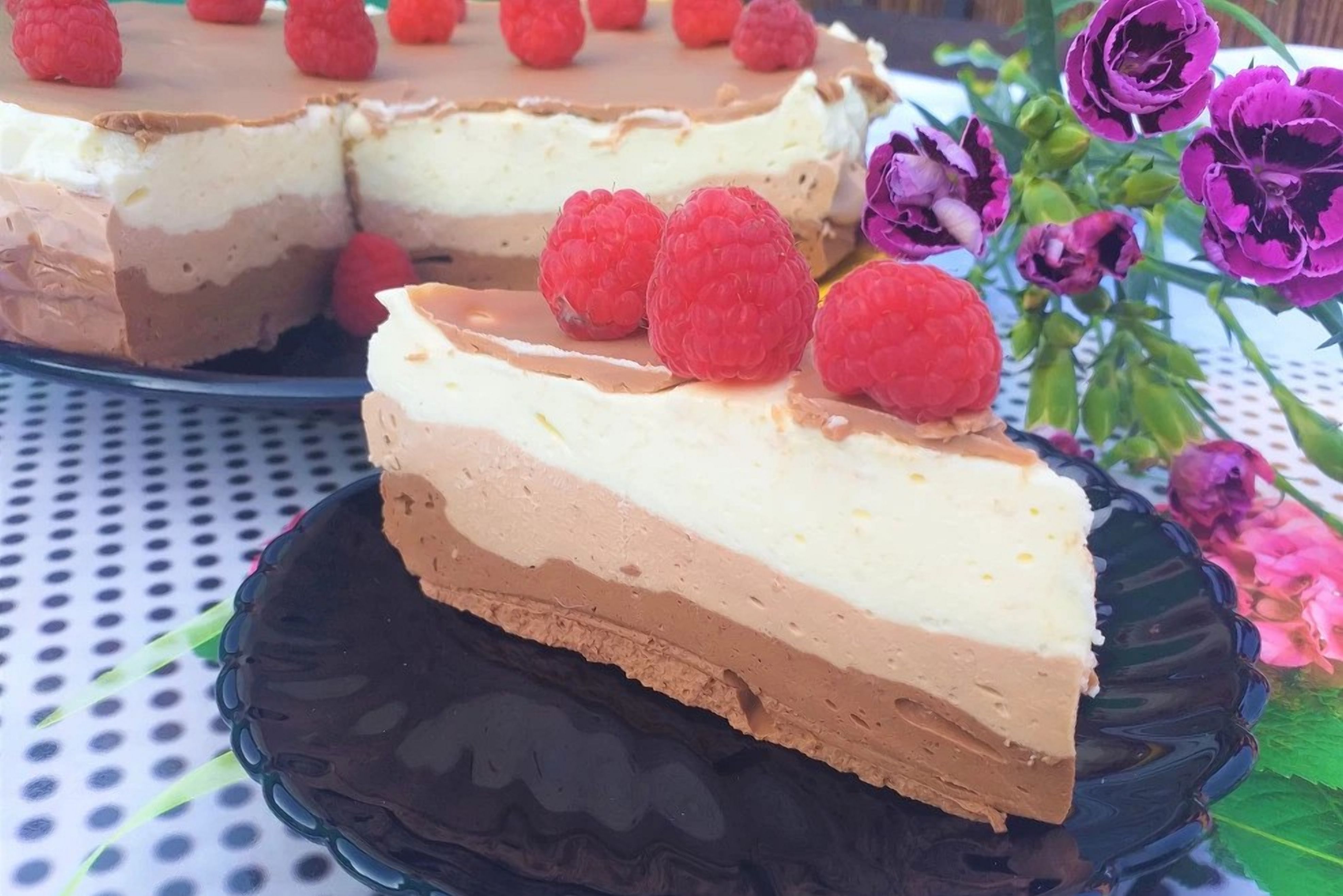 Як приготувати торт без випікання Як приготувати торт без випікання