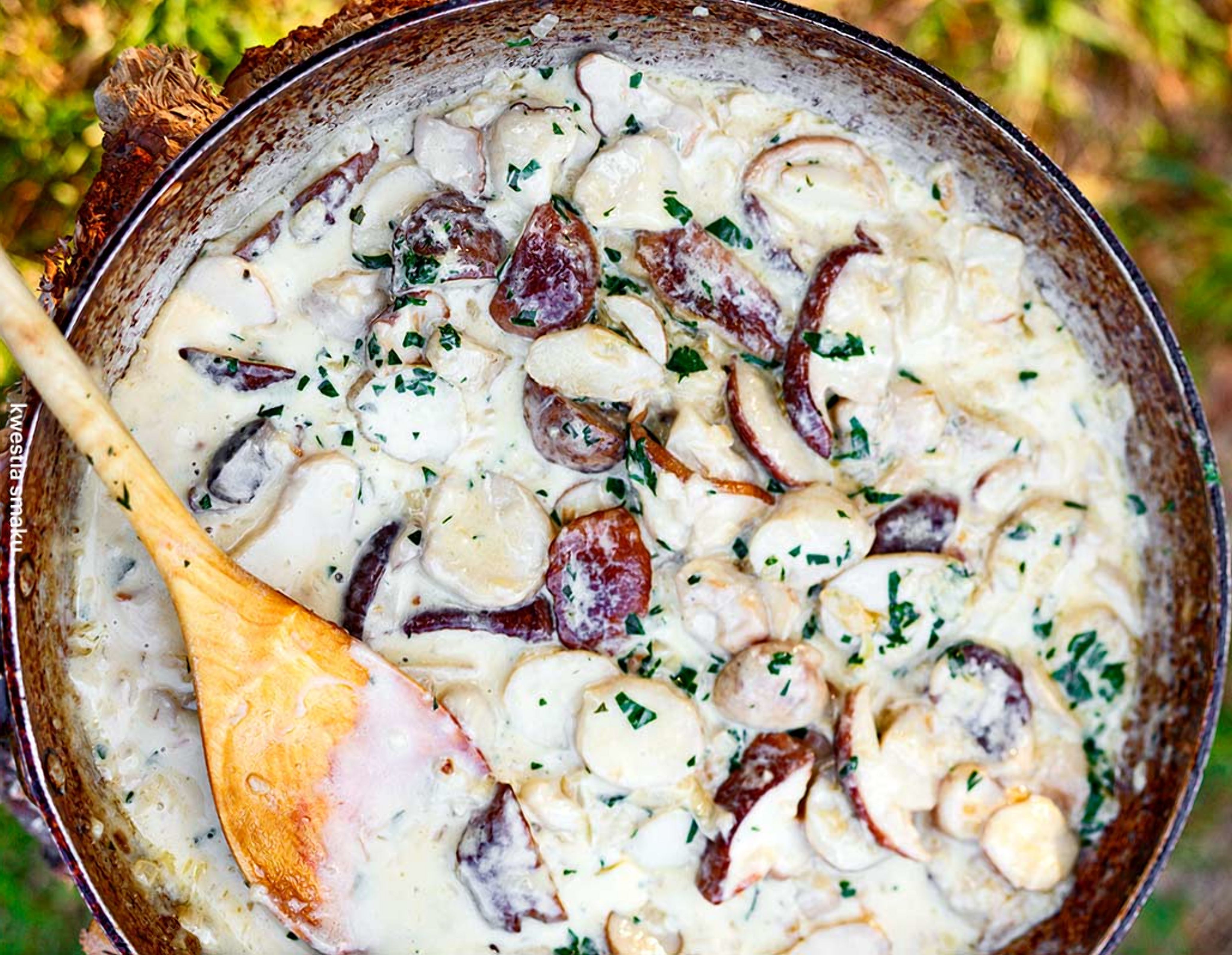 Как приготовить грибной соус Как приготовить грибной соус