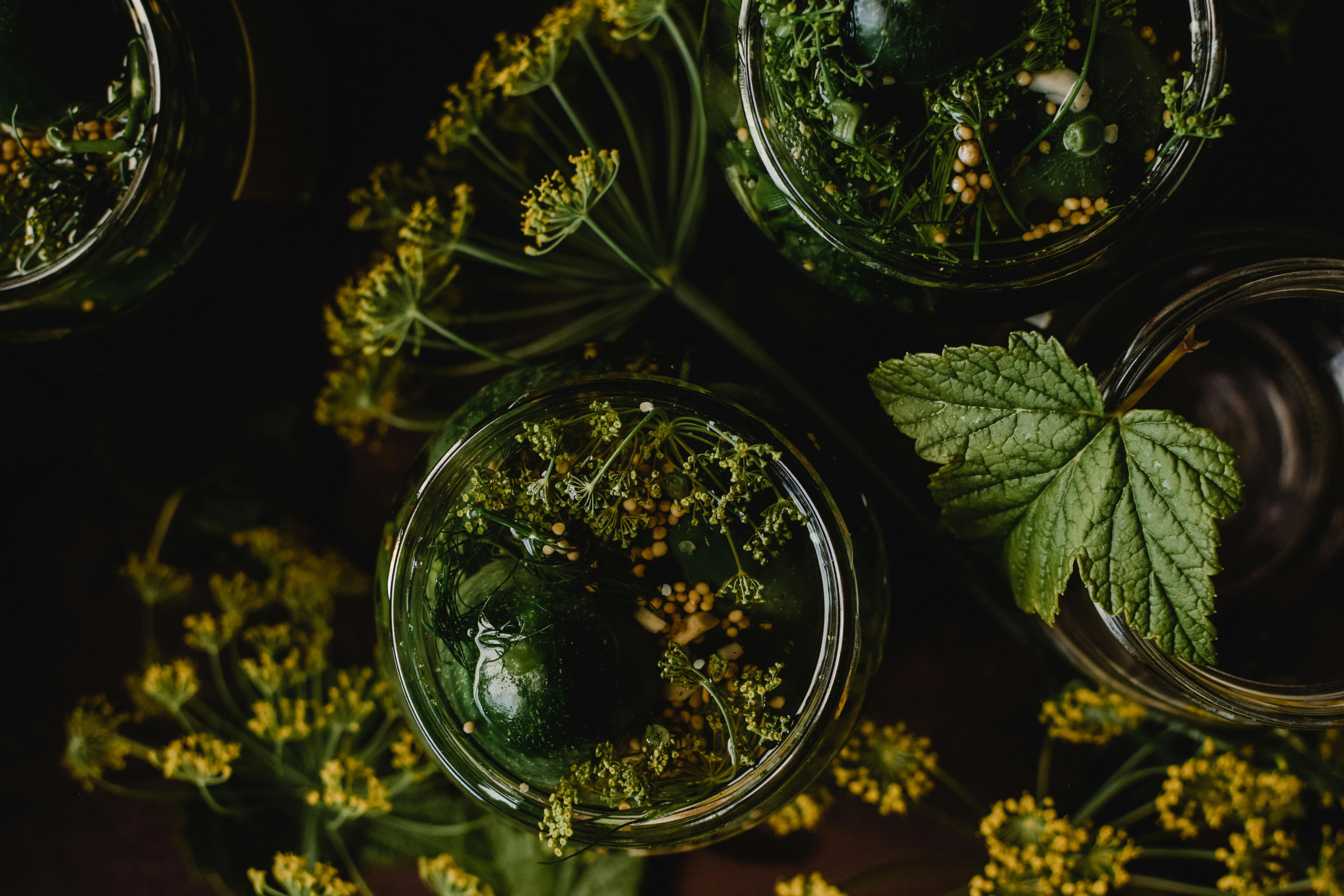 Как заквасить огурцы Как заквасить огурцы