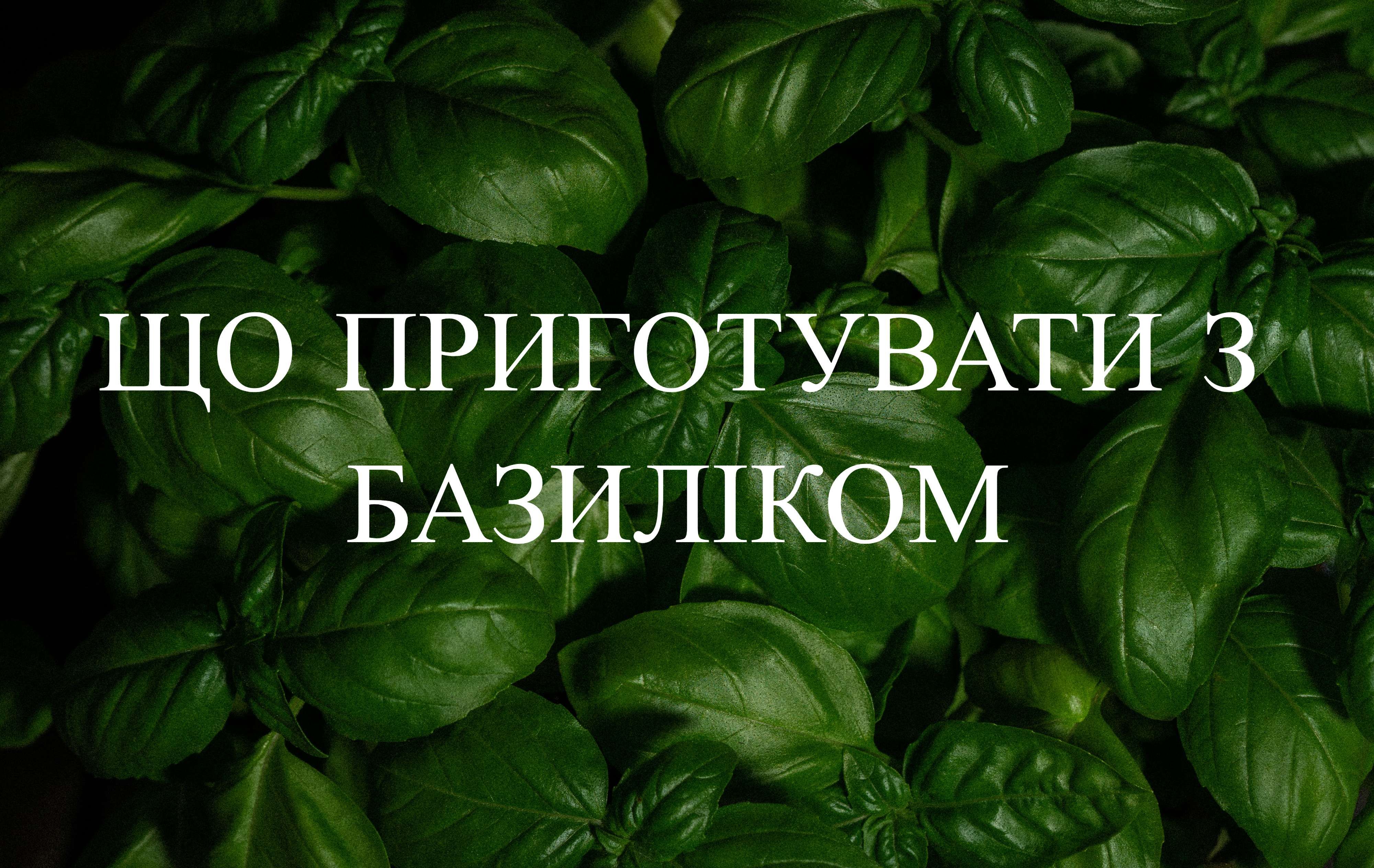 Подборка блюд с базиликом Подборка блюд с базиликом