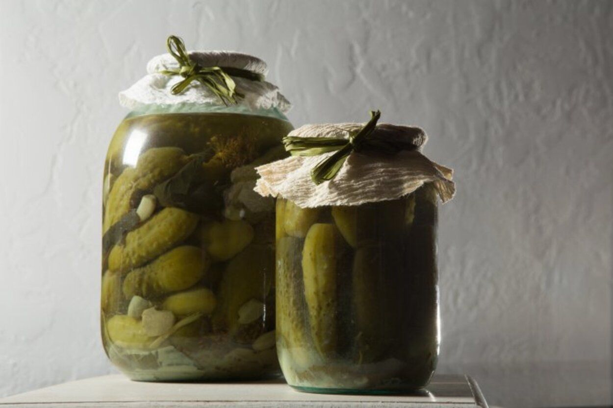 Квашені огірки - приготуйте на зиму - покроковий рецепт з відео - Новини Смачно Квашені огірки - приготуйте на зиму - покроковий рецепт з відео - Новини Смачно