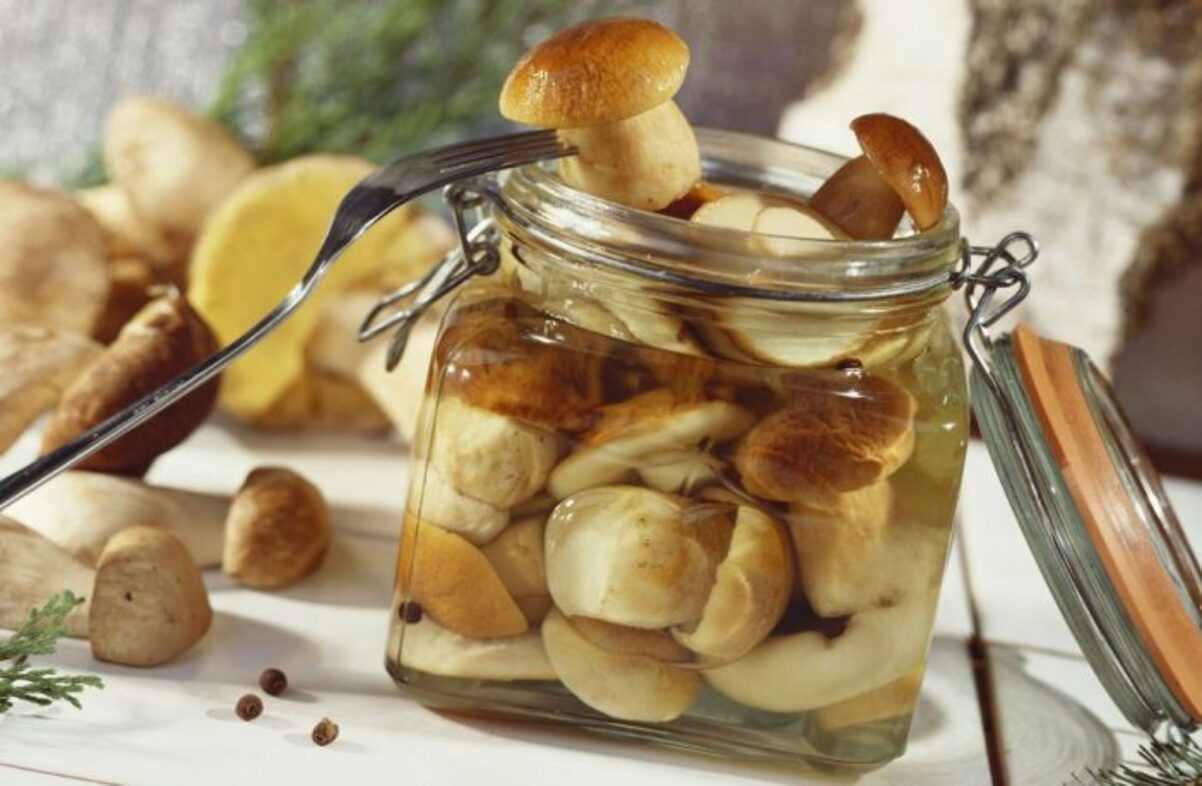 Маринуем оригинальные белые грибочки Маринуем оригинальные белые грибочки