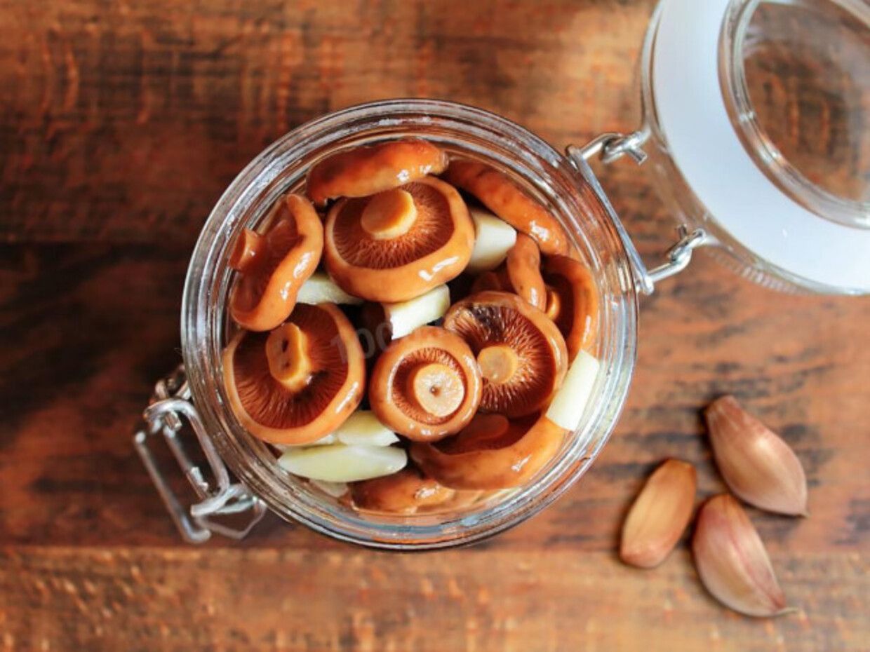 Как приготовить рыжики